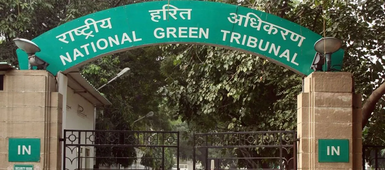  NGT issues notice to Odisha govt, state pollution control board over environmental violations