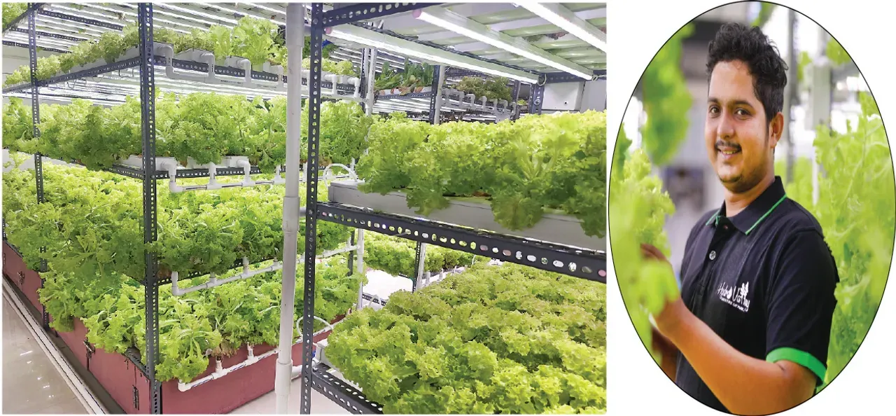  Odisha youth does a 'green' miracle by growing vegetables without soil, sunlight