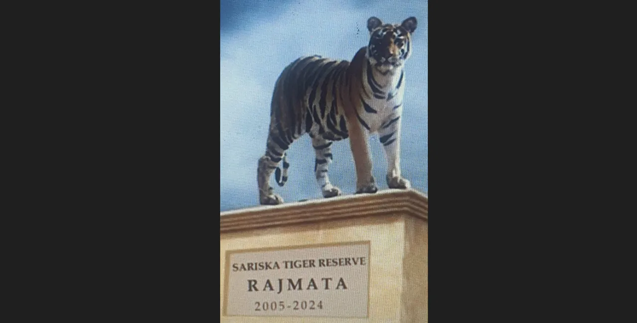  'Rajmata' will be first tigress of Rajasthan to be honoured with installation of statue at Sariska