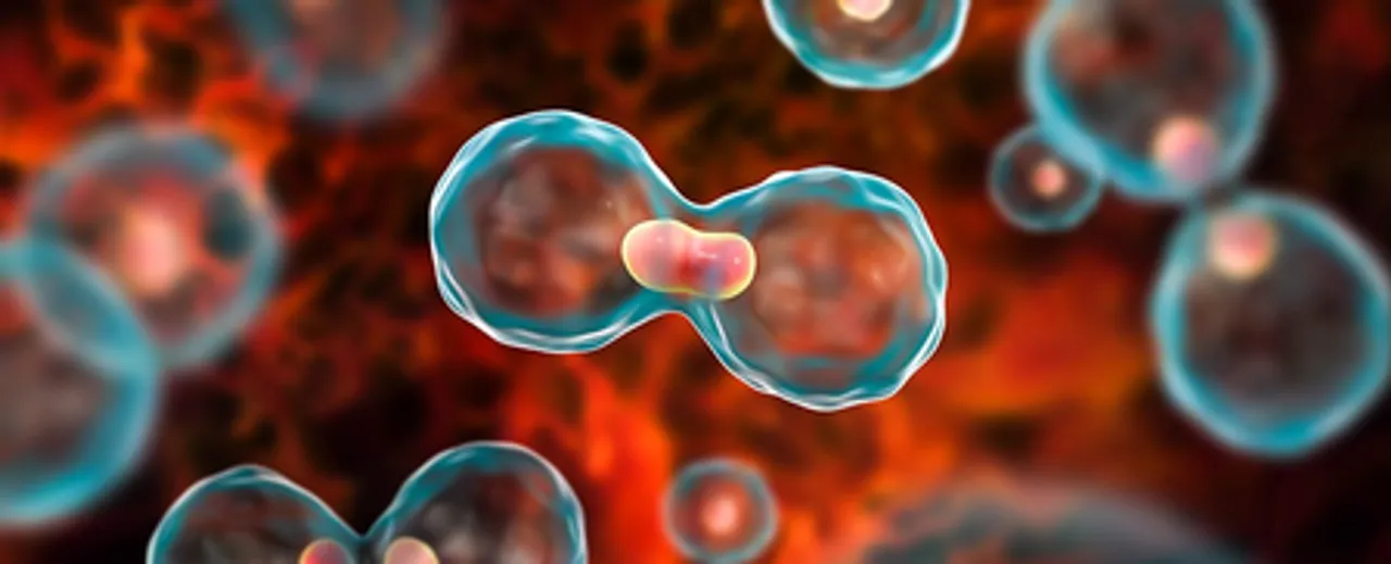  Scientists create novel method to identify healthy and cancerous cells