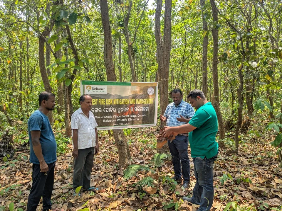  Reliance Foundation joins hands with Odisha govt to check forest fire