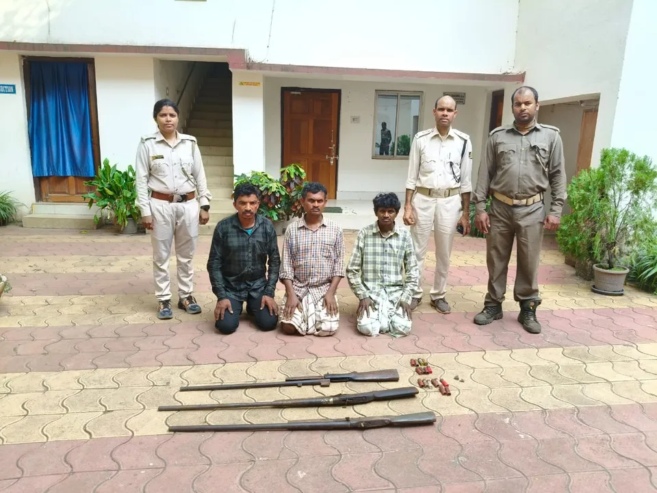  Three poachers possessing firearms arrested in Odisha's Similipal