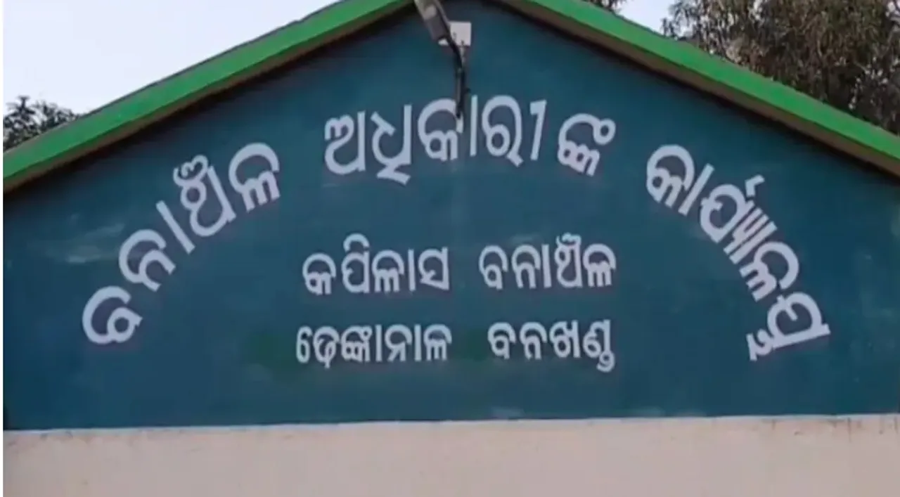  Elephant tramples elderly woman to death in Odisha's Dhenkanal