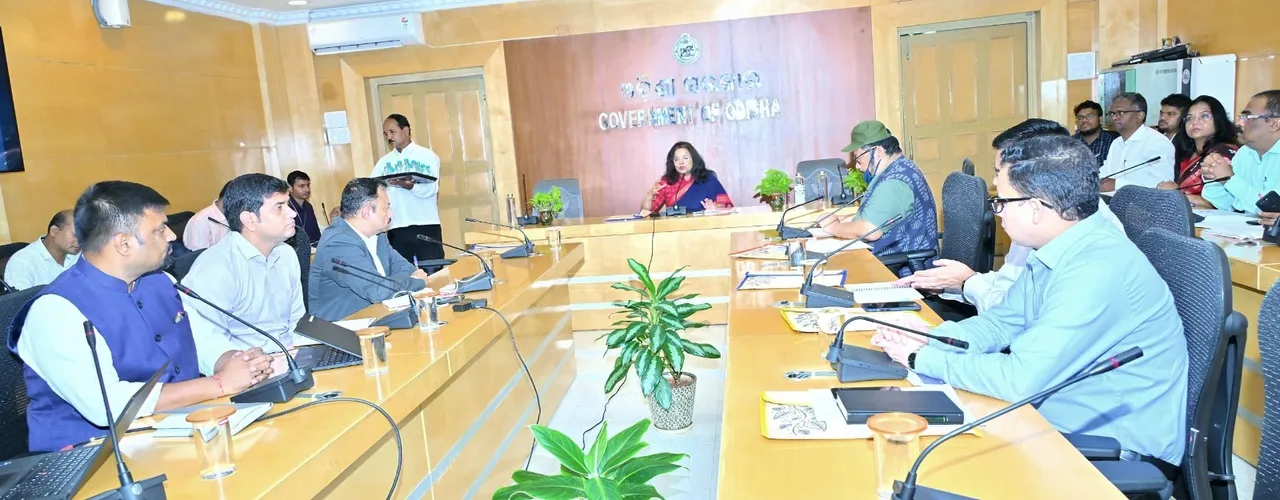  Odisha ropes in Grant Thornton to evaluate DMF projects