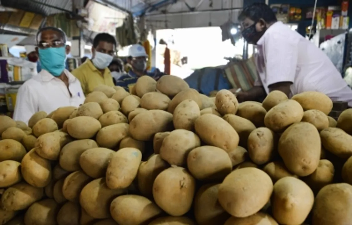  International Potato Centre’s South Asia Regional Centre to be set up at Agra