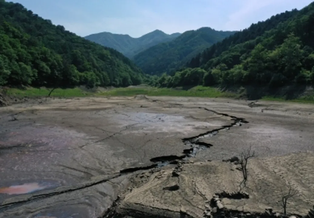  UN-backed report warns of escalating global drought risk, calls for urgent action