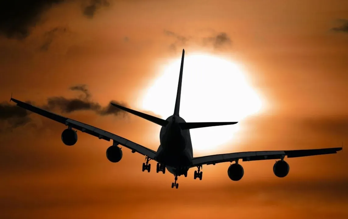  Puri Intl airport project hits FAC hurdle; Ministry flags concerns over safety of dolphins, turtles and migratory birds