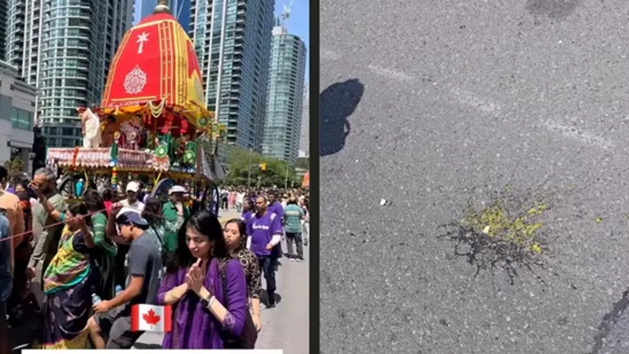  Eggs hurled at Indians celebrating Rath Yatra in Canada as Naveen Patnaik expresses concern