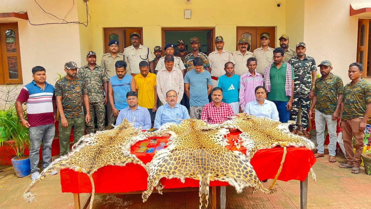  Odisha: 7 persons including school teacher held in anti-poaching crackdown in Similipal