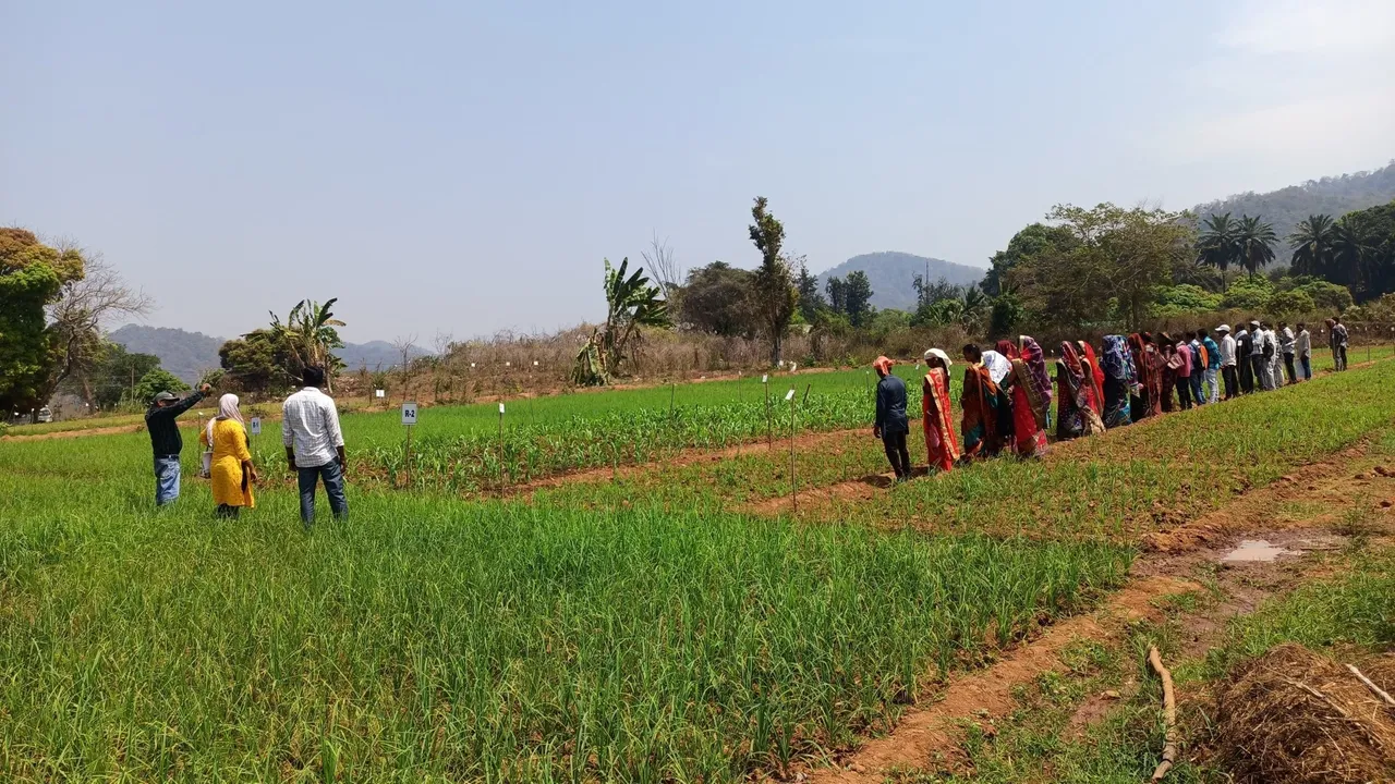  Odisha sets record in farmer registration, over 18.5 lakh enrolled: Minister