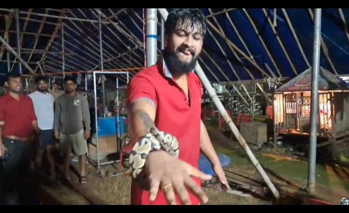  Snake used in stage performance: Forest officials raid Tulasi Gananatya's akhadasala in Jajpur