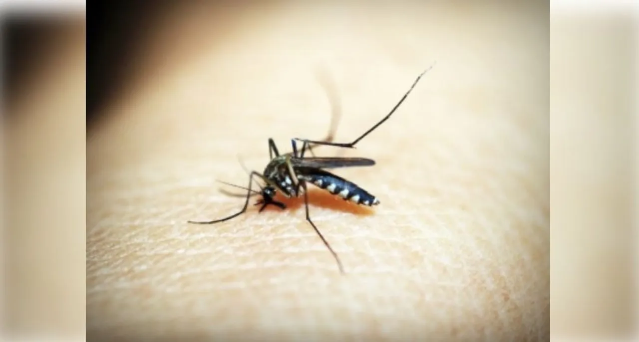  Ivermectin reduces new malaria infections in children by 26%: Study