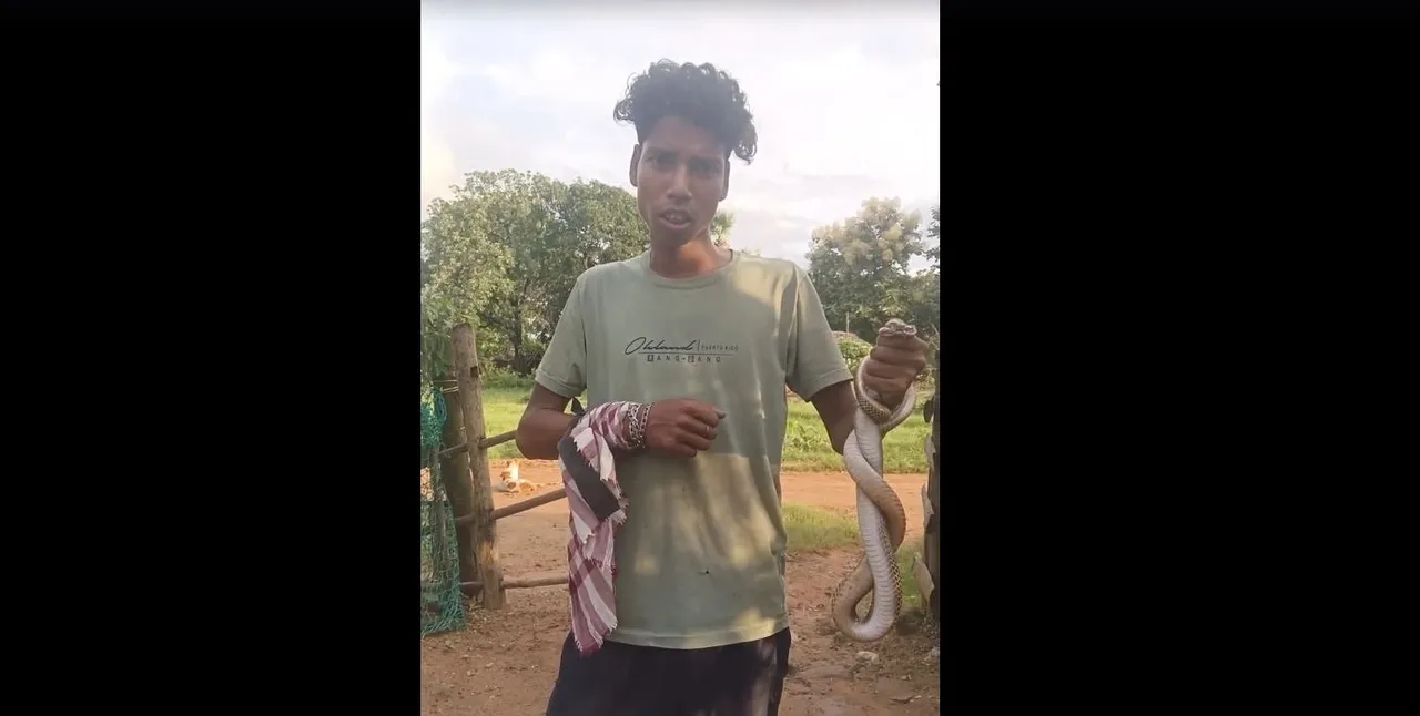 Cobra bite victim shocks Angul Hospital staff by carrying snake along for treatment