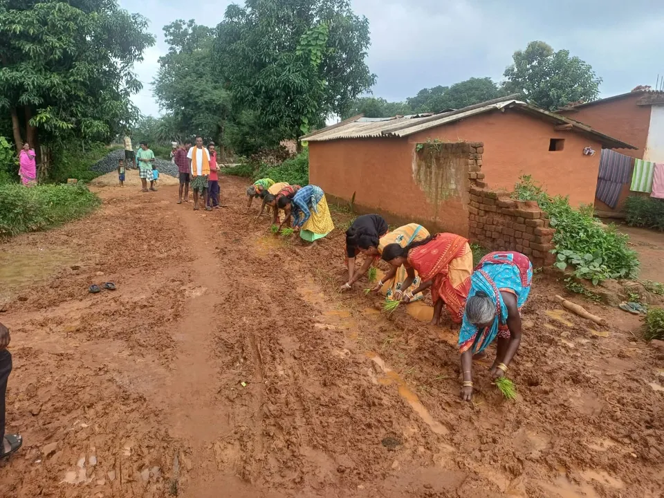  Villagers in Nabarangpur plant saplings on muddy village road to protest lack of all-weather connectivity