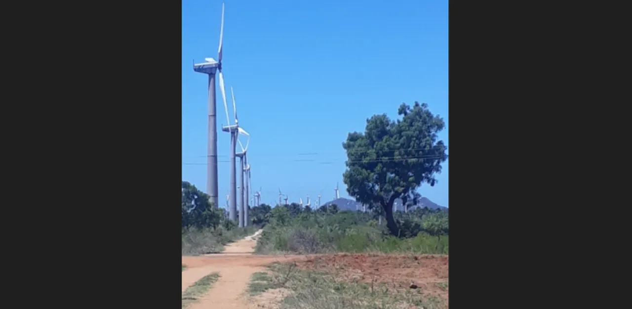  India’s wind energy capacity rises to 51.67 GW