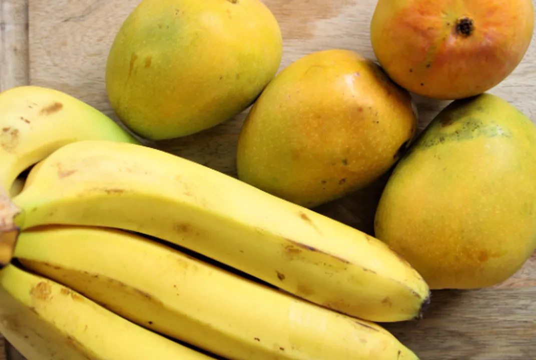  Odisha to provide fruits to school students under mid-day meal programme