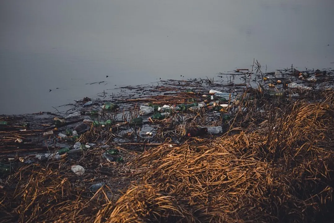  Plastic pollution is underrecognised threat to health: The Lancet