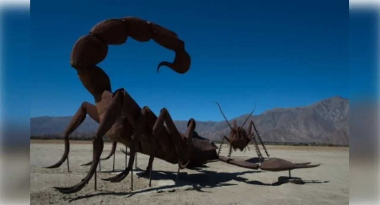  Black scorpions inject 25 potent toxins through sting: Study