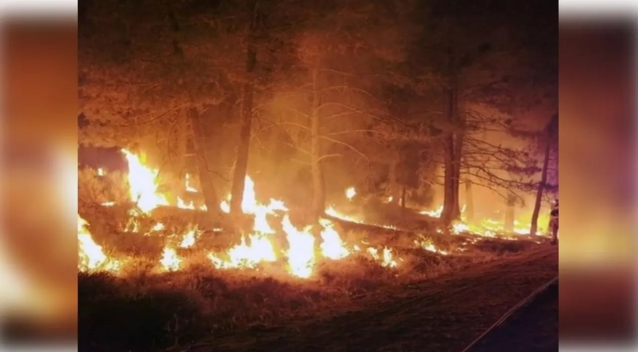  France battles wildfire larger than Paris; one dead as blaze spreads fast