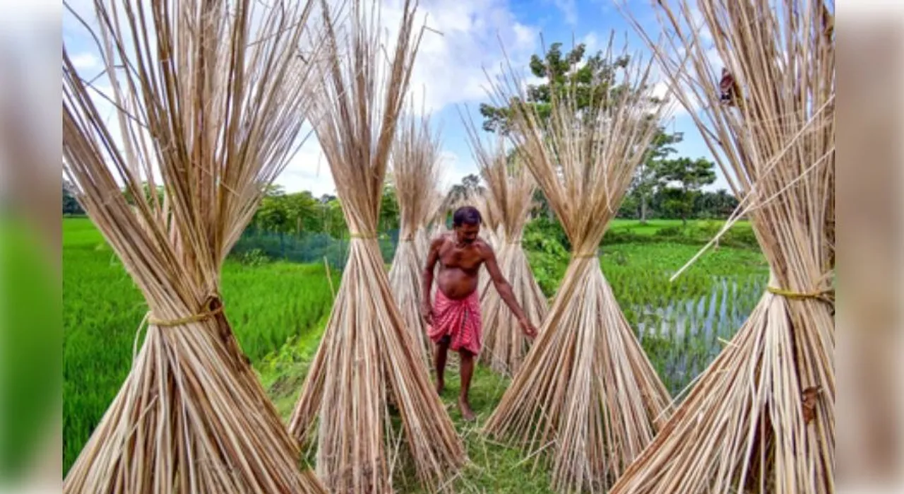  India expands ban on imports from Bangladesh
