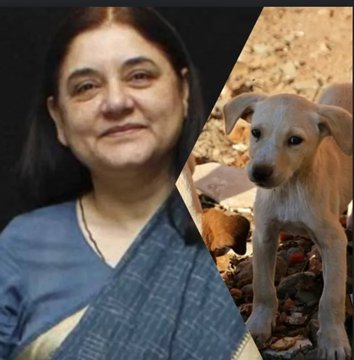  Maneka Gandhi welcomes Supreme Court’s modified directions on stray dogs