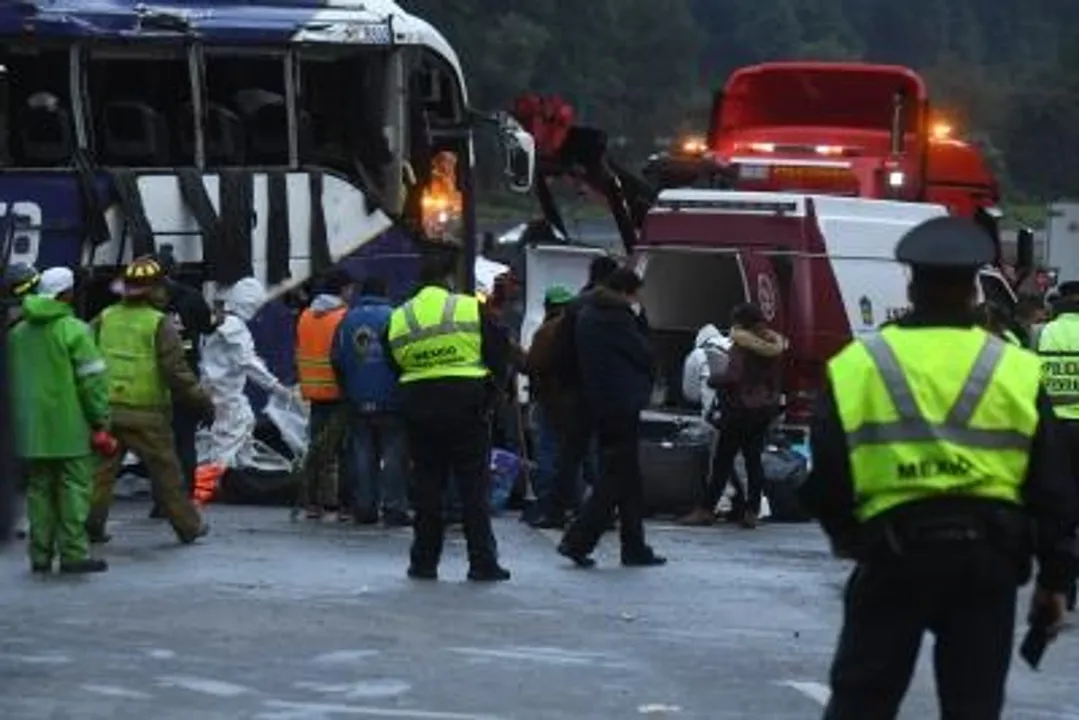  Five dead in tour bus crash in US state of New York