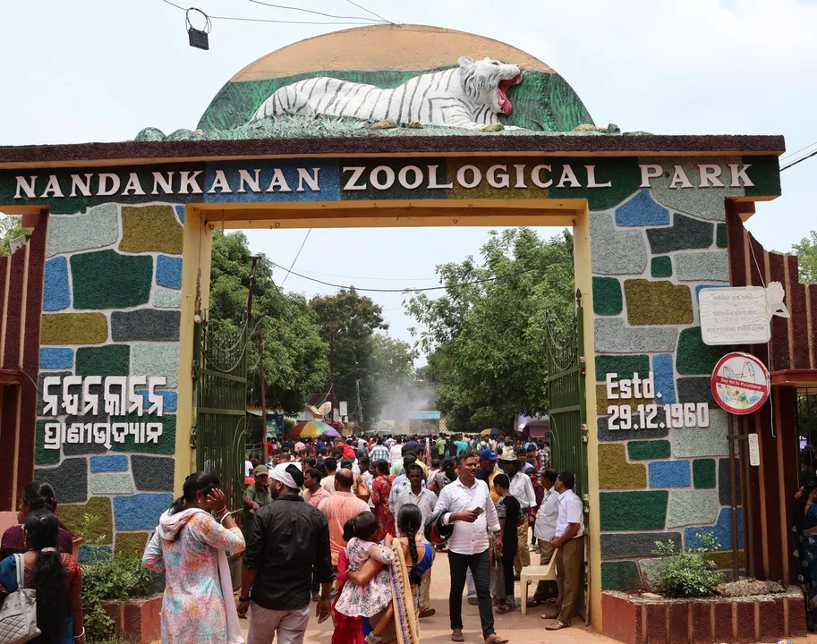  White tiger cub dies at Nandankanan Zoo