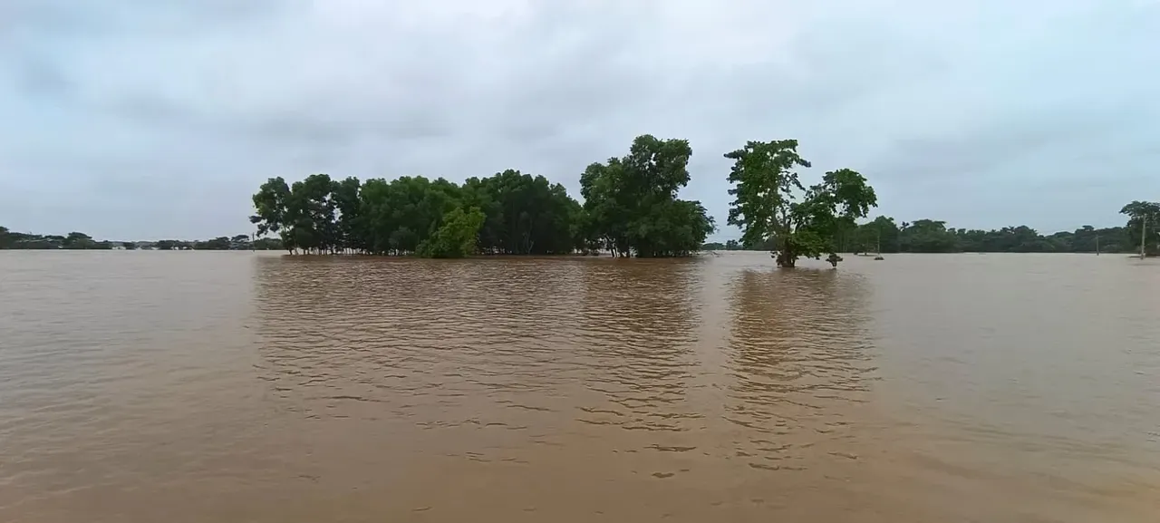  Two-day school holiday in Bhadrak amid flood situation