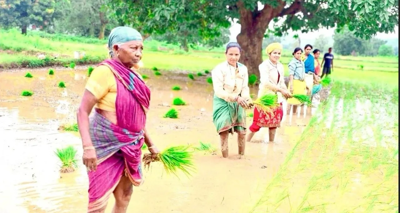 Odisha Govt assures adequate fertilizer supply amid concerns over urea shortage