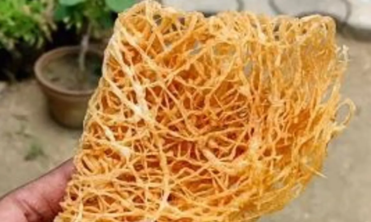  Union Education Minister pushes for GI tag for Odisha’s sweet ‘Sarsatia’