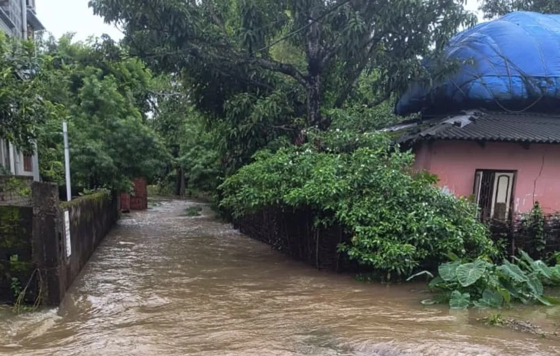  Low pressure area likely to trigger heavy rainfall in these Odisha districts