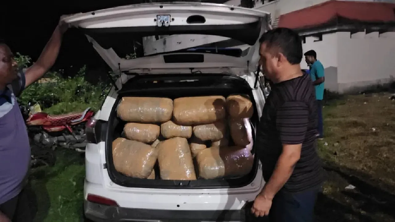  Odisha: Over 1 quintal ganja seized, 6 persons arrested in Mayurbhanj