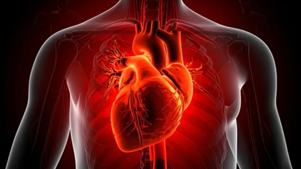  Heart diseases kill 8 people every minute in South-East Asia: WHO