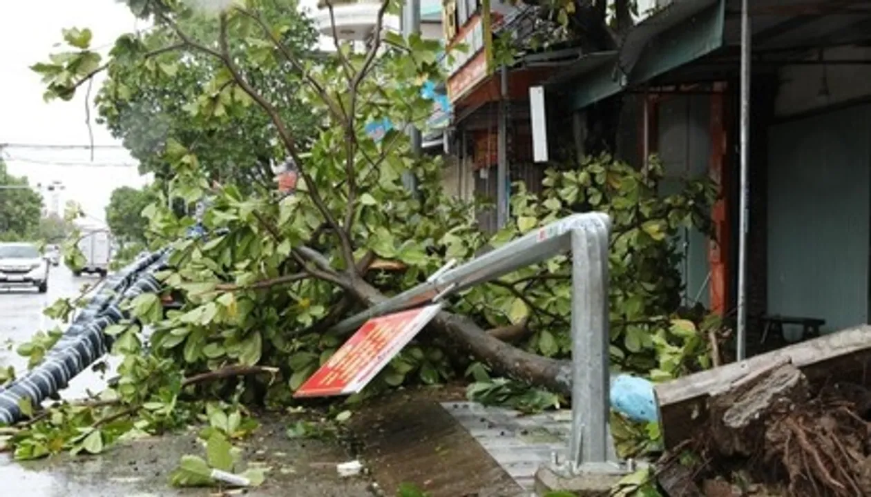  19 dead, 88 hurt as Typhoon Bualoi batters Vietnam