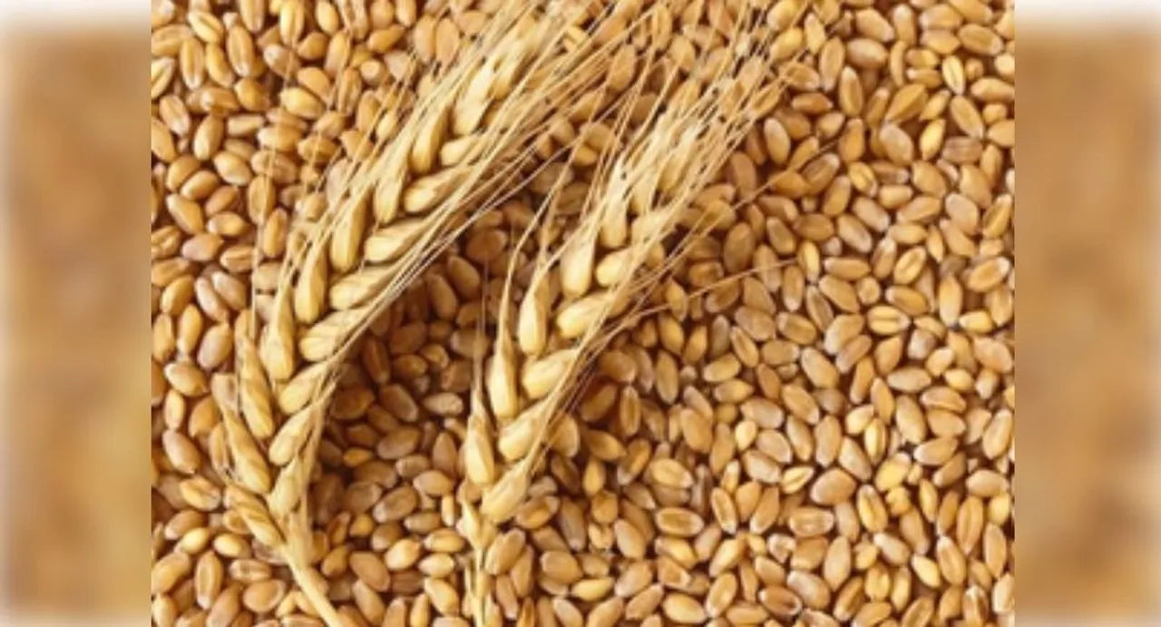  Cabinet clears hike in minimum support prices for rabi harvest