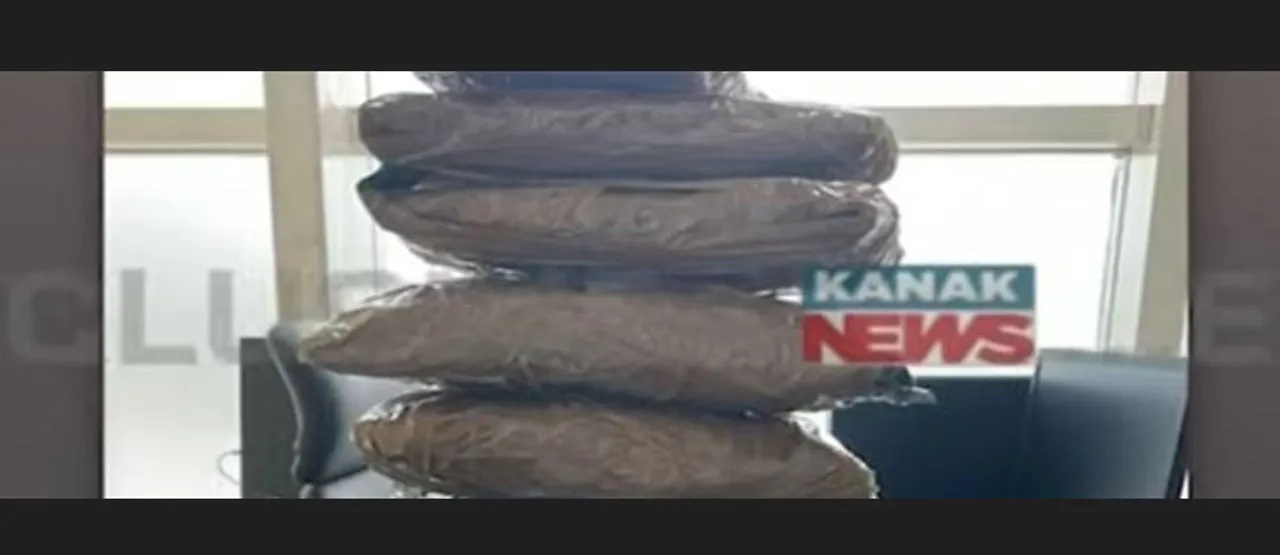  DRI seizes hydroponic weed worth ₹3 crore from youth at Bhubaneswar airport