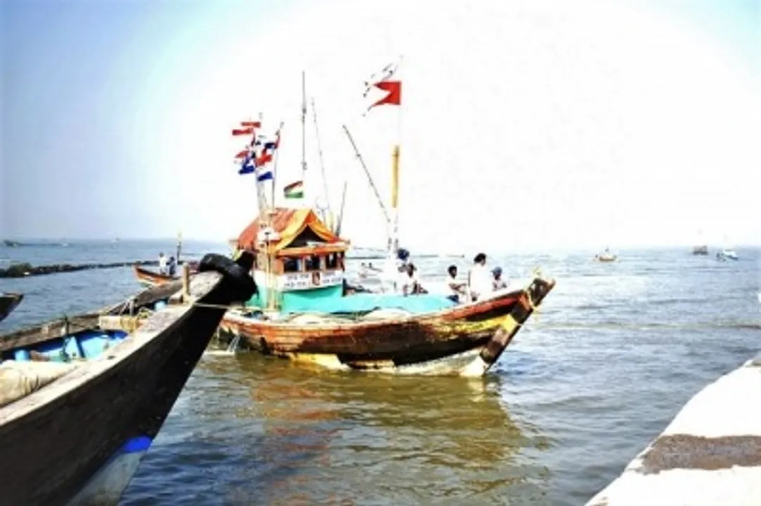 China's distant-water fishing fleet is engine of environmental destruction, labour exploitation: Report