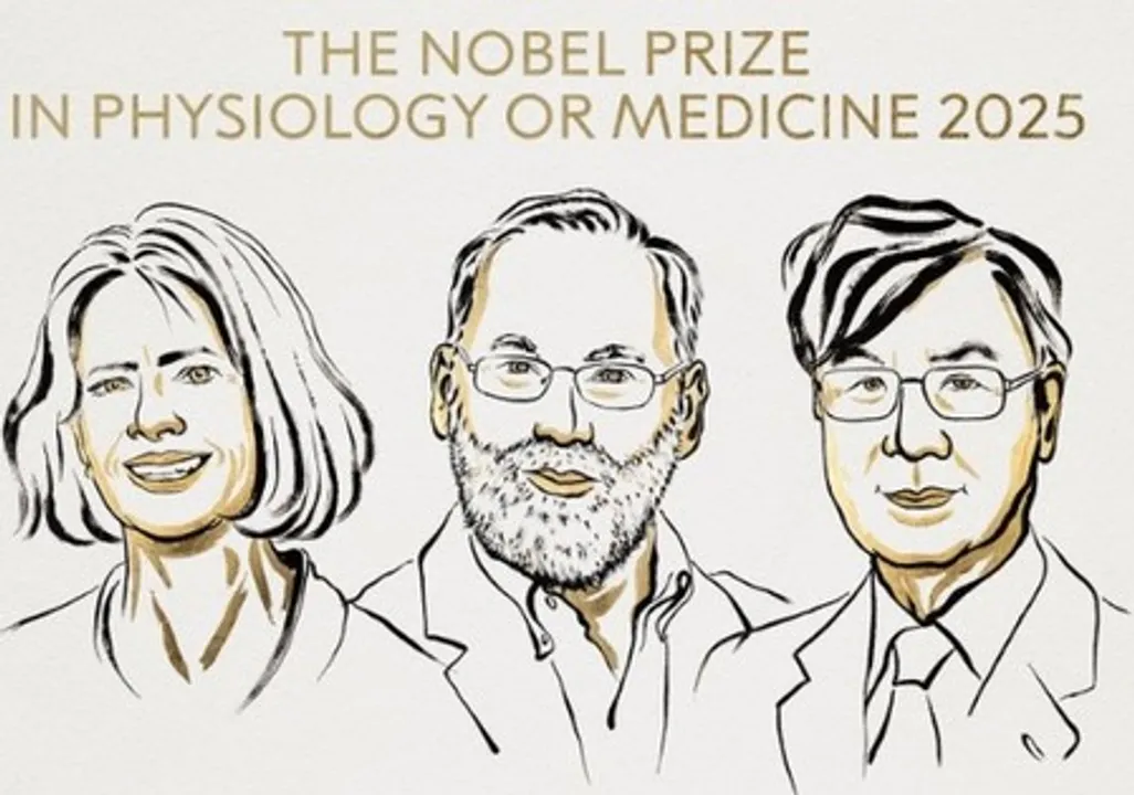 US, Japanese scientists win 2025 Nobel Prize in Medicine for immune system discovery