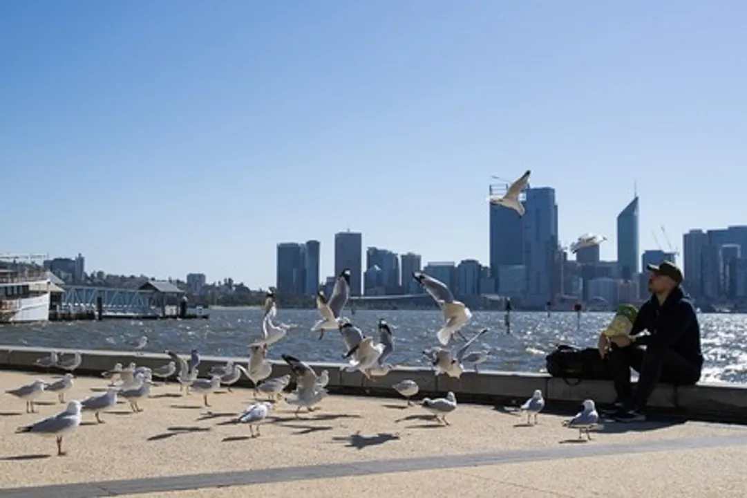  Climate change linked to nearly 1 lakh deaths from 2023 heatwaves, global study reveals