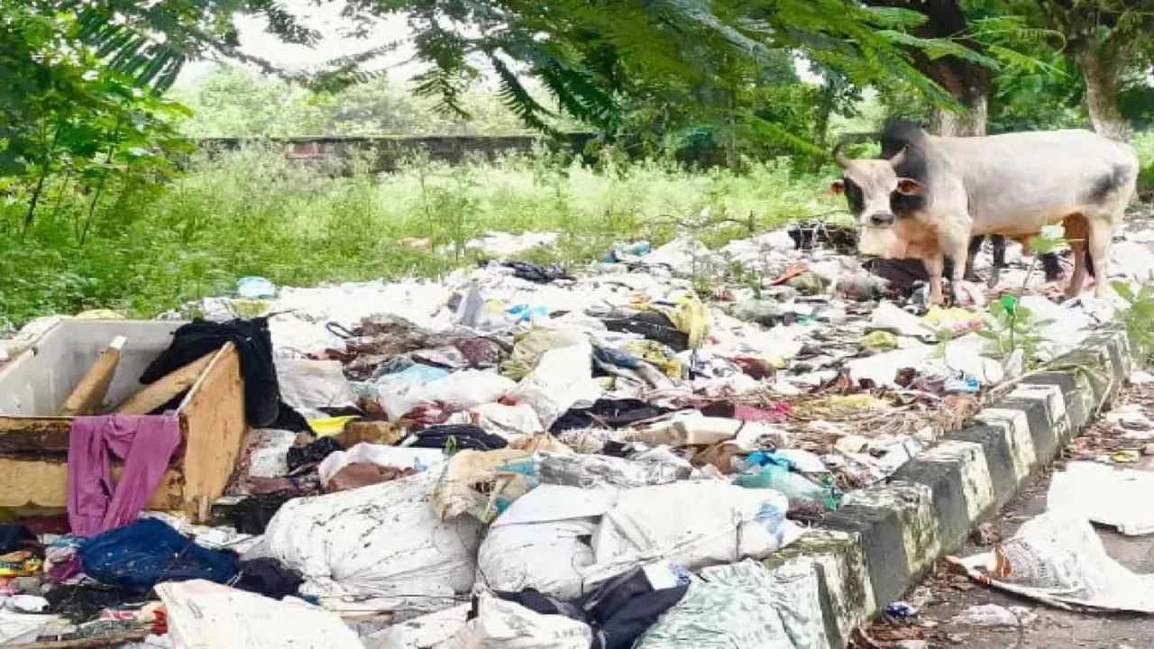  Garbage piles up on AIIMS Bhubaneswar road, staff express concern