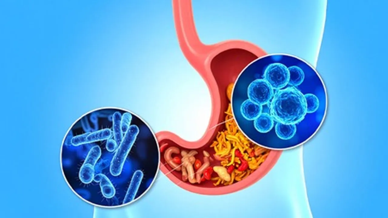  Healthier gut may help ease depression and anxiety, study finds