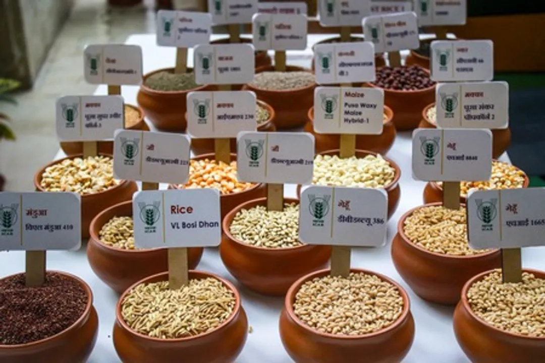 Centre aims to scale up domestic pulses production to 350 lakh tonnes by 2030-31