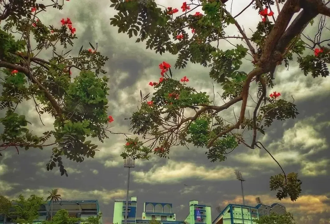  Monsoon withdrawal from Odisha begins: IMD