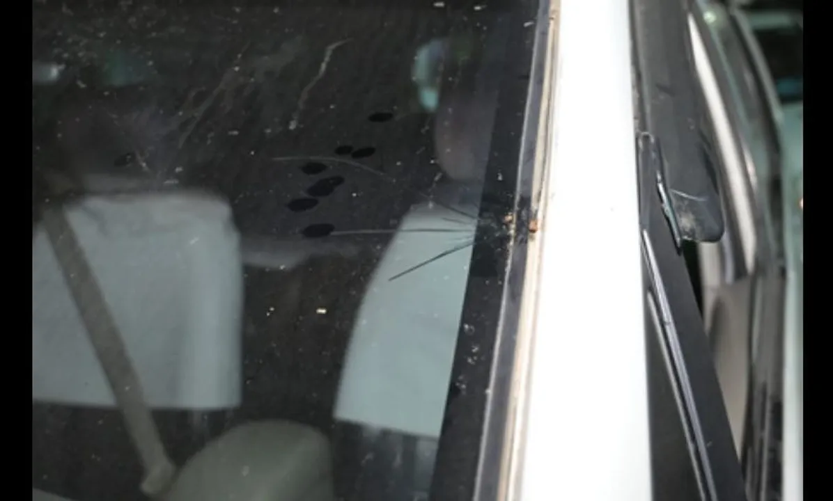  Miscreants attack BJP MP Raju Bista’s convoy in Bengal