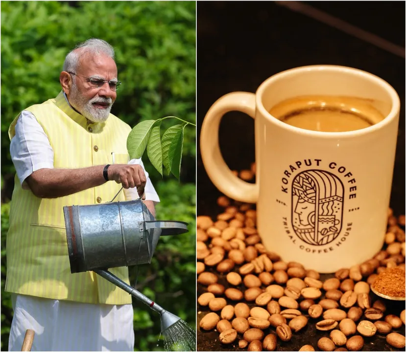  PM Modi (Pic 1) and Koraput Coffee (Pic 2) 
