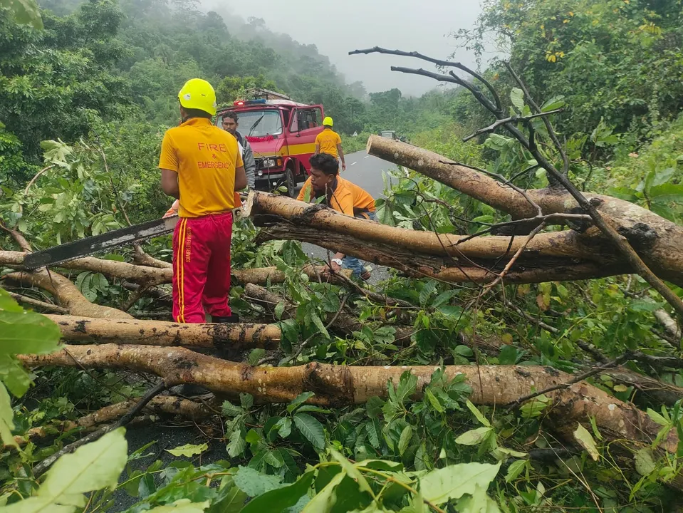  Cyclone Montha caused extensive damage in several Odisha districts.  