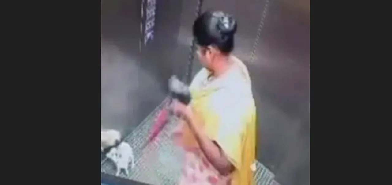  CCTV footage of maid killing puppy 
