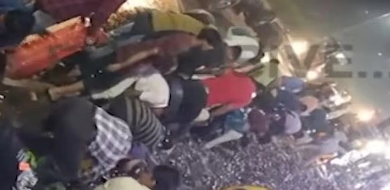  Odisha: Mass loot of fish goes viral as pickup van overturns in Mayurbhanj