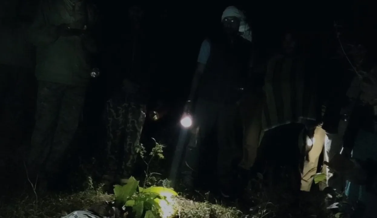  Human-elephant conflict in Mayurbhanj: A man trampled to death by an elephant while guarding crops Photograph: (Sambad) 