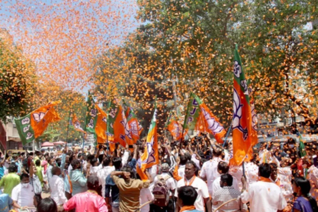  BJP workers are celebrating after the party emerges as largest party in early trends in Bihar election. 
